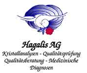 Zertifikat Hagalis AG